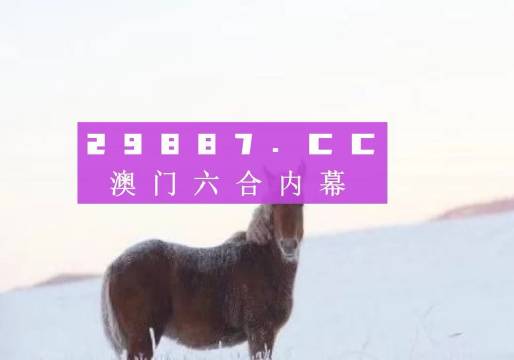 澳门管家婆一肖中特2019,澳门管家婆的一肖中特，探寻幸运之门的神秘故事（2019年）