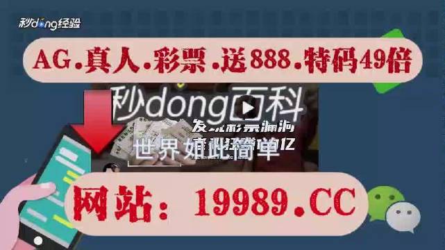 2024澳门开奖结果王中王,揭秘澳门彩票背后的故事，王中王的传奇之旅