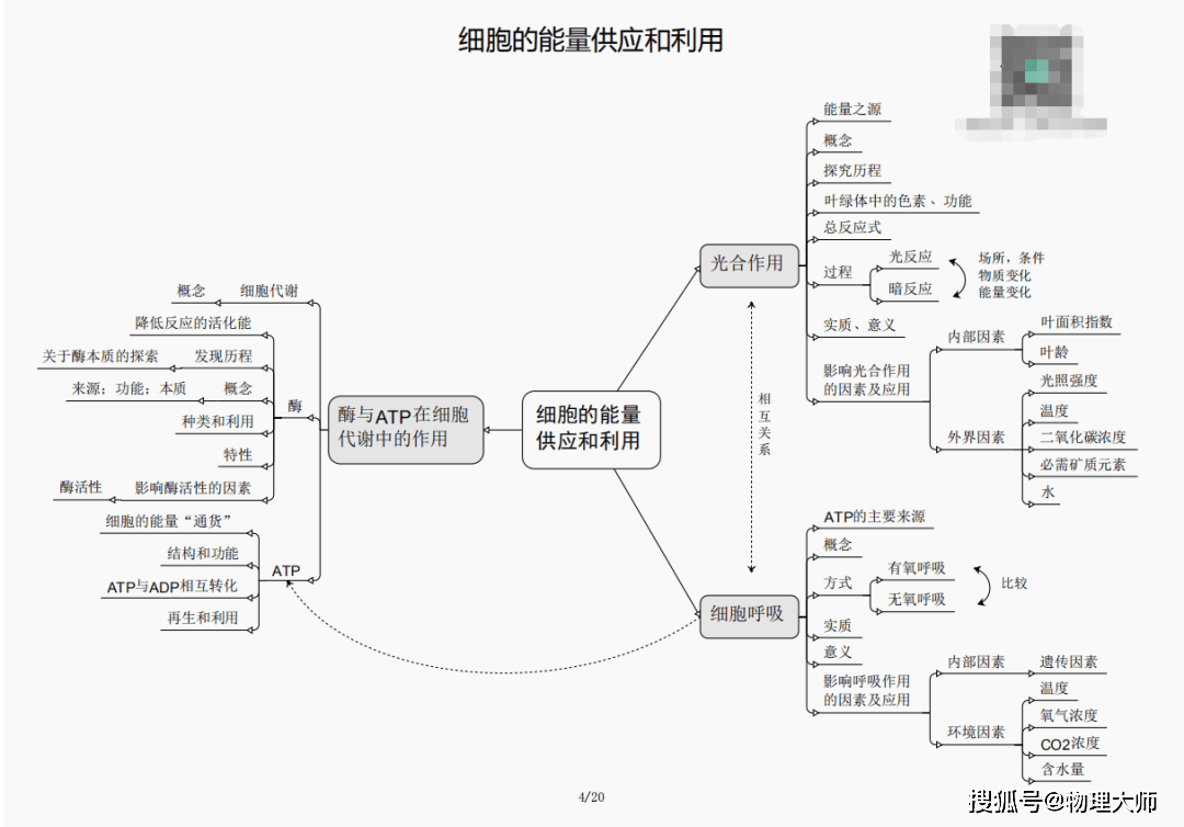 2024新澳三期必出一肖,揭秘新澳三期彩票背后的神秘面纱——探寻幸运之肖的奥秘