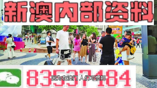 新澳2024年正版资料,新澳2024年正版资料，探寻未来的奥秘与魅力