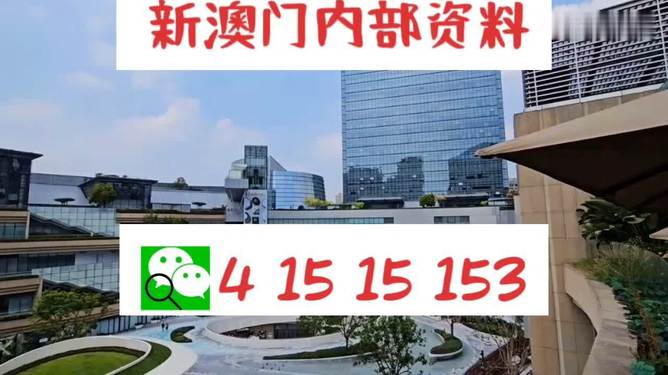 2024澳门必中一肖,揭秘澳门生肖彩票背后的故事，2024澳门必中一肖的奇幻之旅