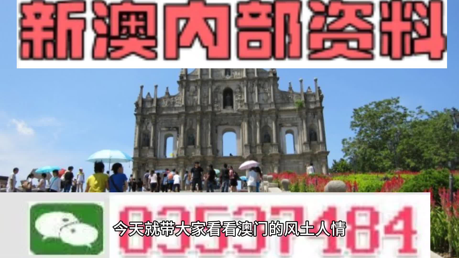 新澳2024一肖一码道玄真人,新澳2024的神秘预言，一肖一码与道玄真人的奇幻之旅