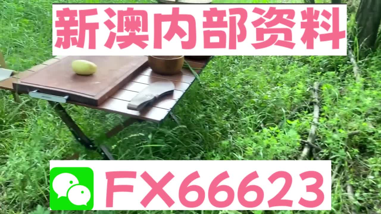 新澳天天开奖资料大全旅游攻略,新澳天天开奖资料大全与旅游攻略，探索未知的精彩世界