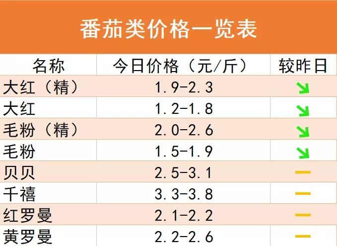 今日蔬菜价格动态，市场脉搏与生活色彩同步更新