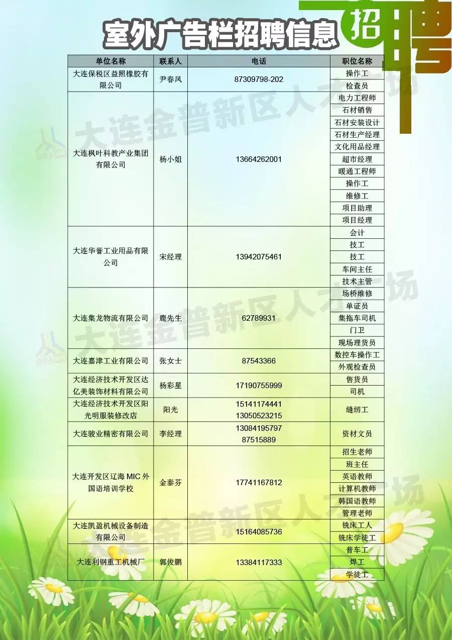 金州最新招聘信息概览，职业发展的无限机遇与潜力